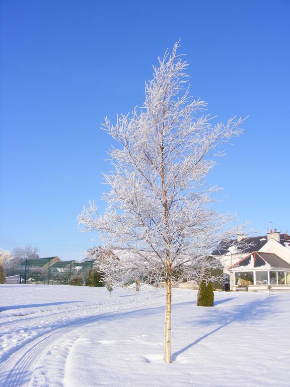 Ballyhargan Farm House Dungiven Экстерьер фото