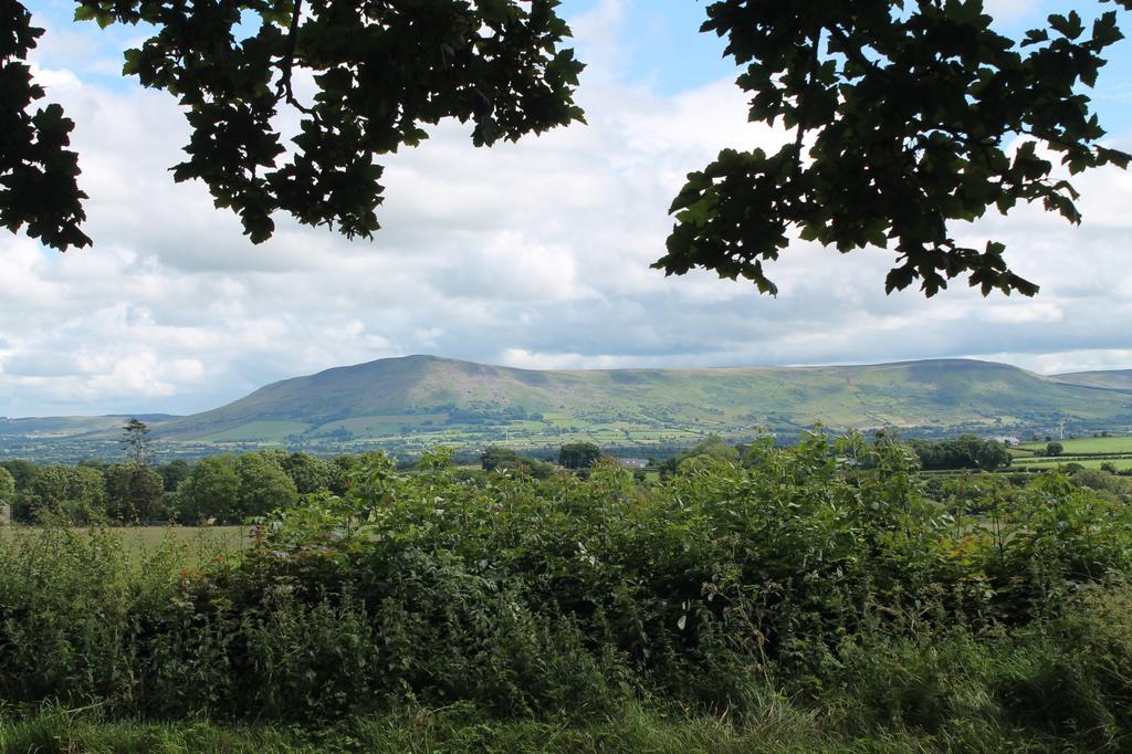 Ballyhargan Farm House Dungiven Экстерьер фото